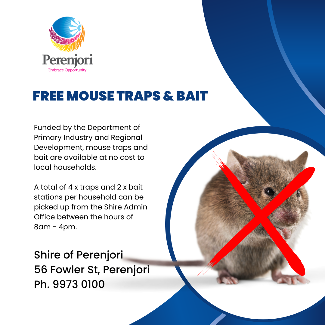 Mouse traps