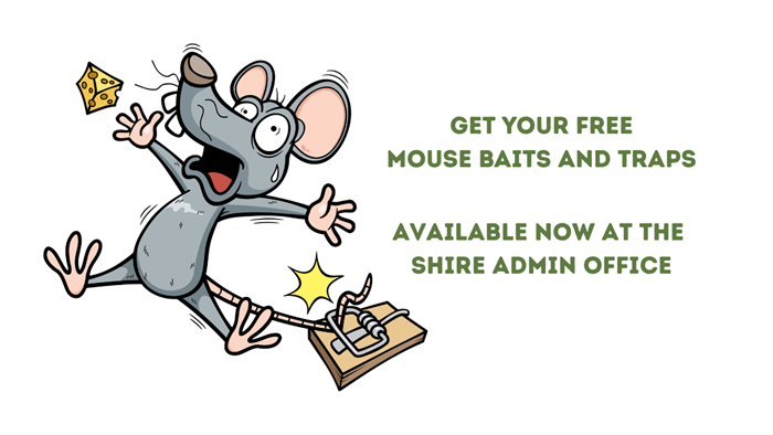 Mouse Traps and Bait Available