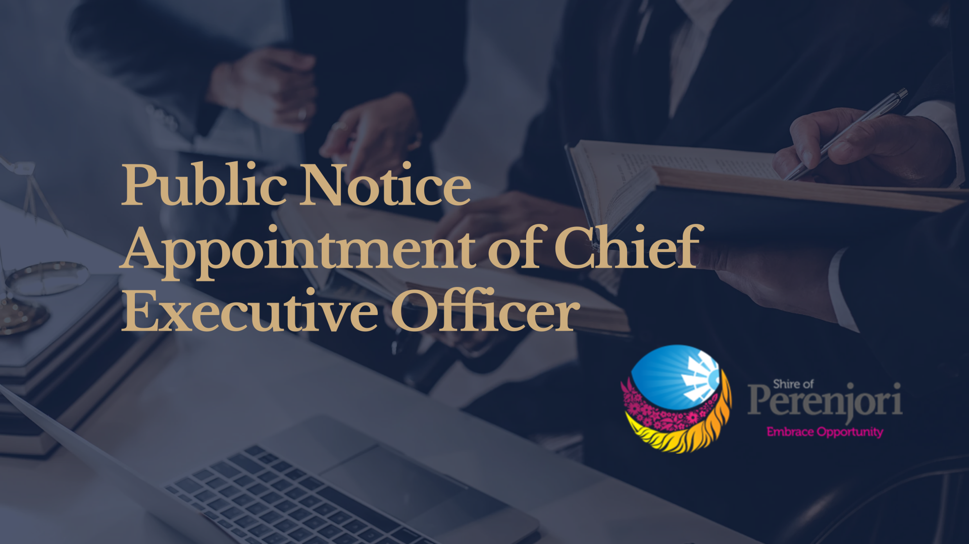 Appointment of Chief Executive Officer