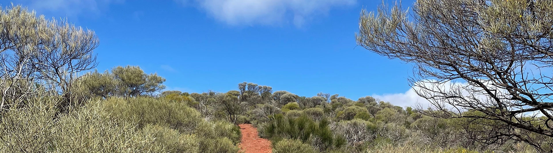Picture: Perenjori